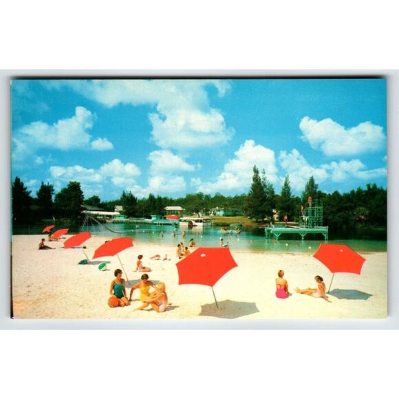 Postcard Weeki Wachee Springs Florida Swimsuit Women Beach Mermaids Chrome - Picture 1 of 2